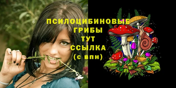 spice Медвежьегорск