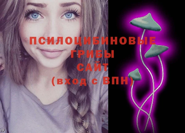 прущая мука Медногорск