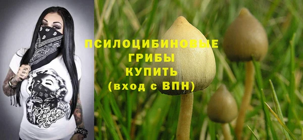 прущая мука Медногорск