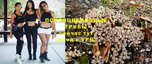 spice Медвежьегорск
